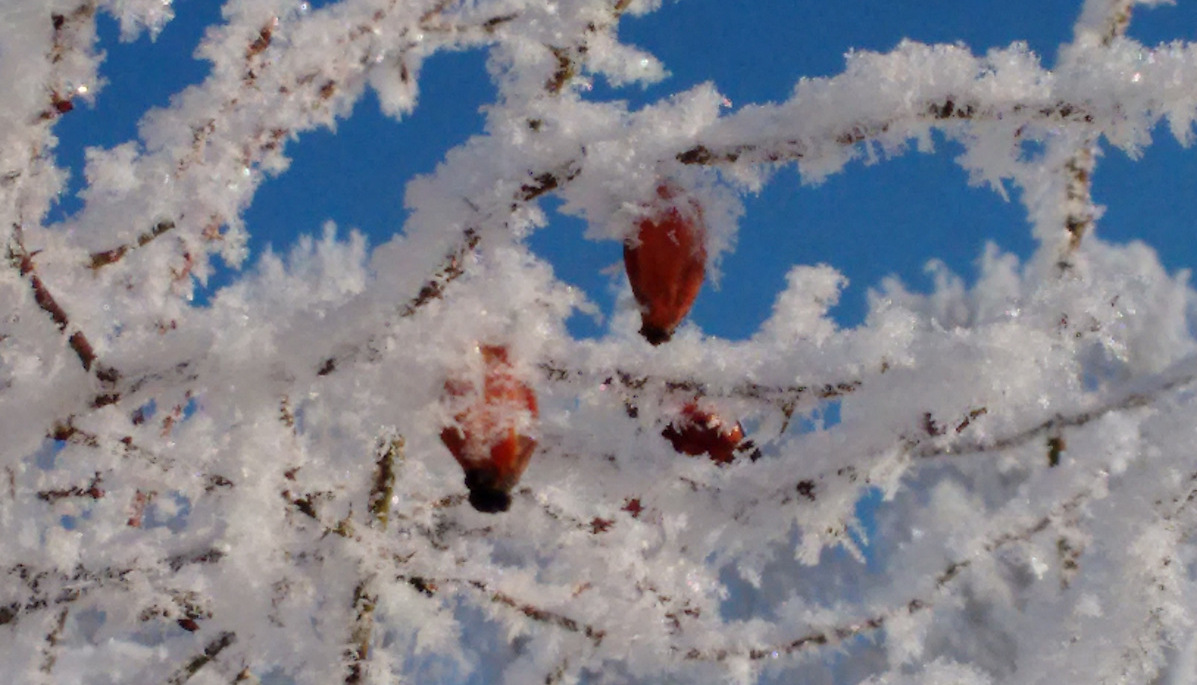 "Mitten im Winter habe ich gelernt, dass es in mir einen unbesiegbaren Sommer gibt." Camus